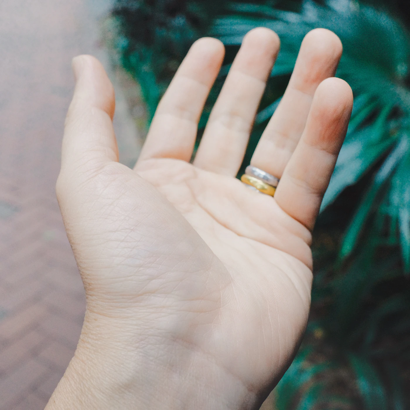 Open hand wearing two contrasting metal bands